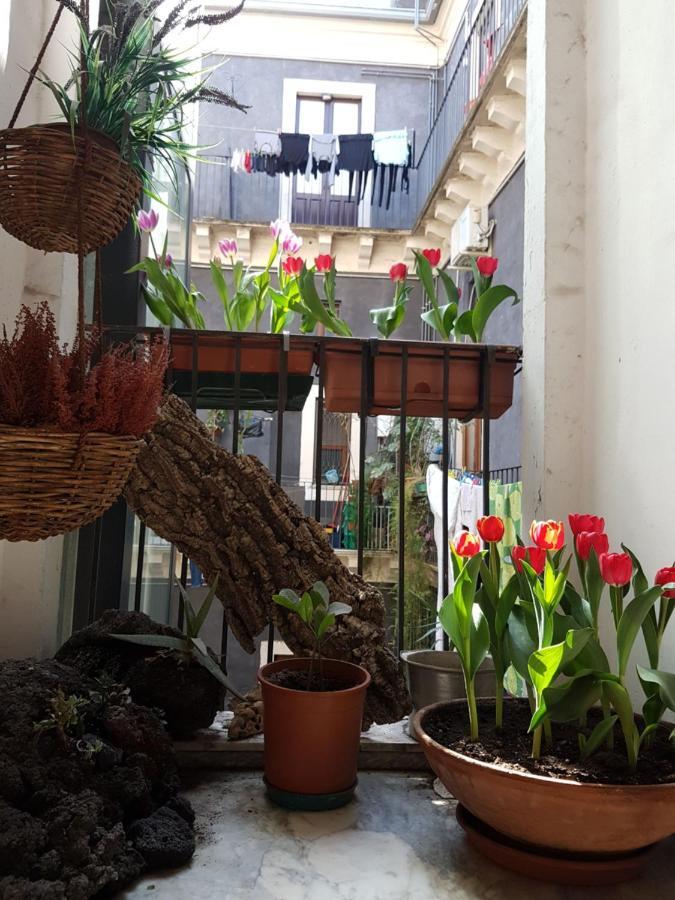 Bellini Apartment كاتانيا المظهر الخارجي الصورة