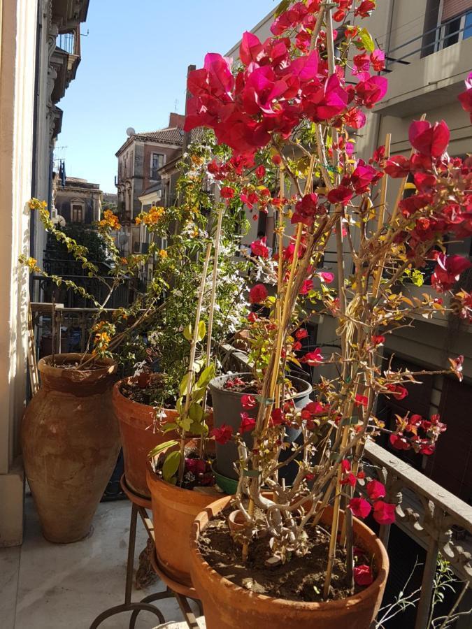 Bellini Apartment كاتانيا المظهر الخارجي الصورة